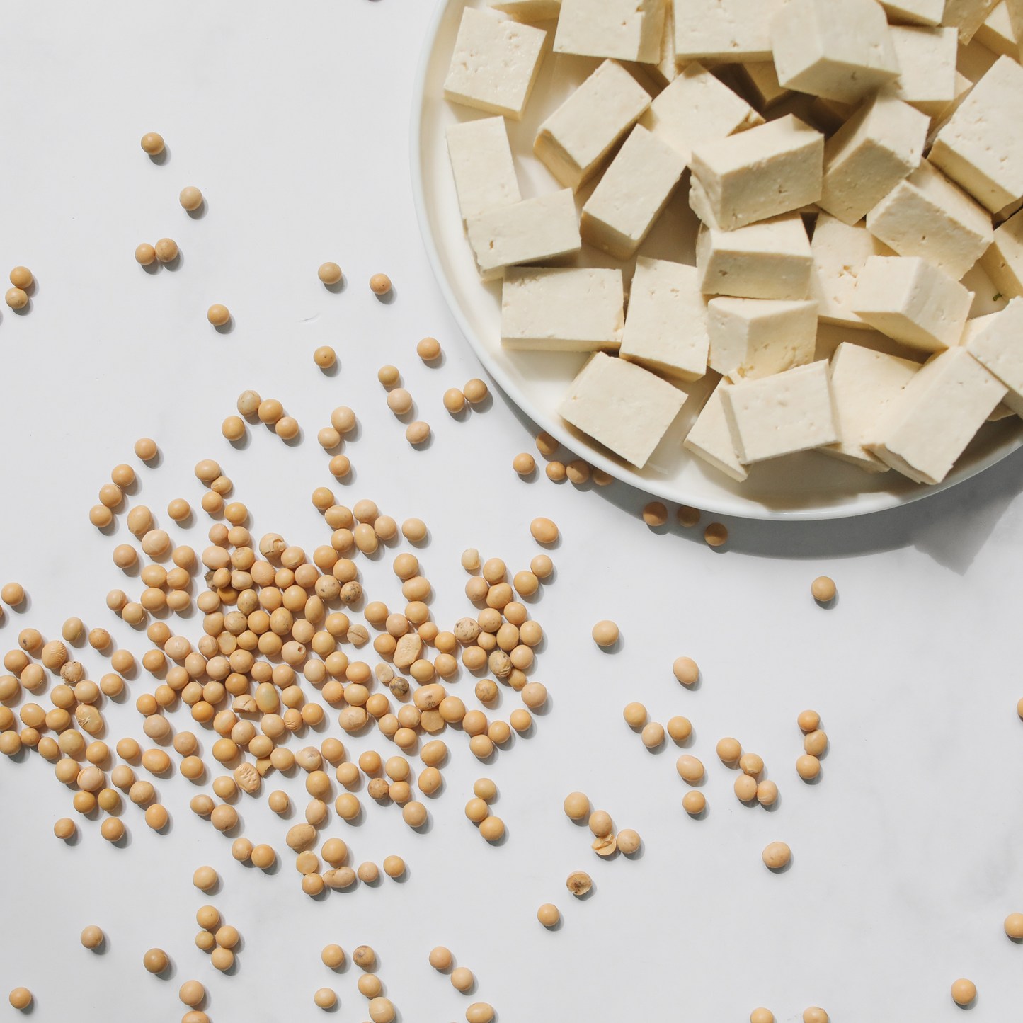 Firm Tofu