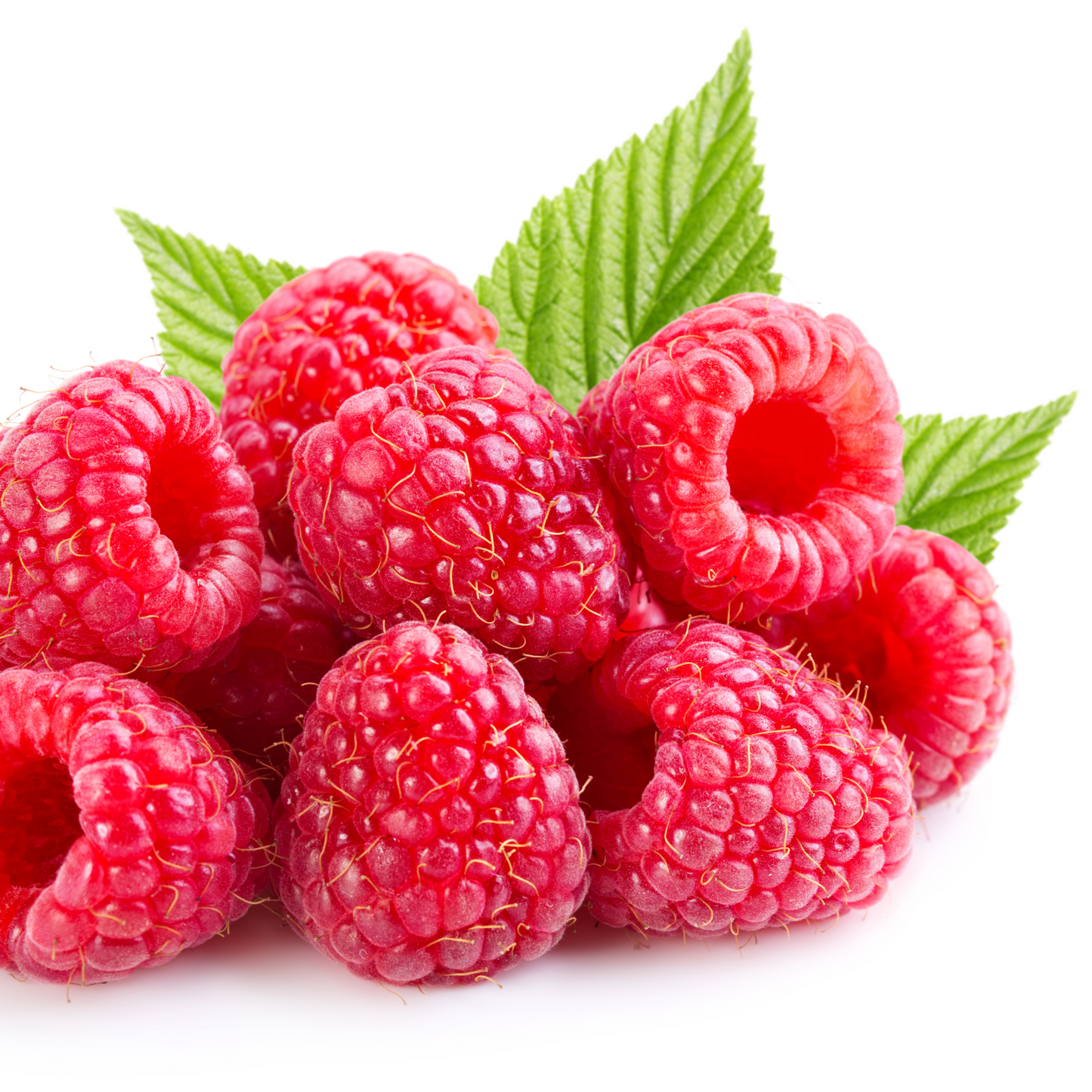 Fresh Raspberries