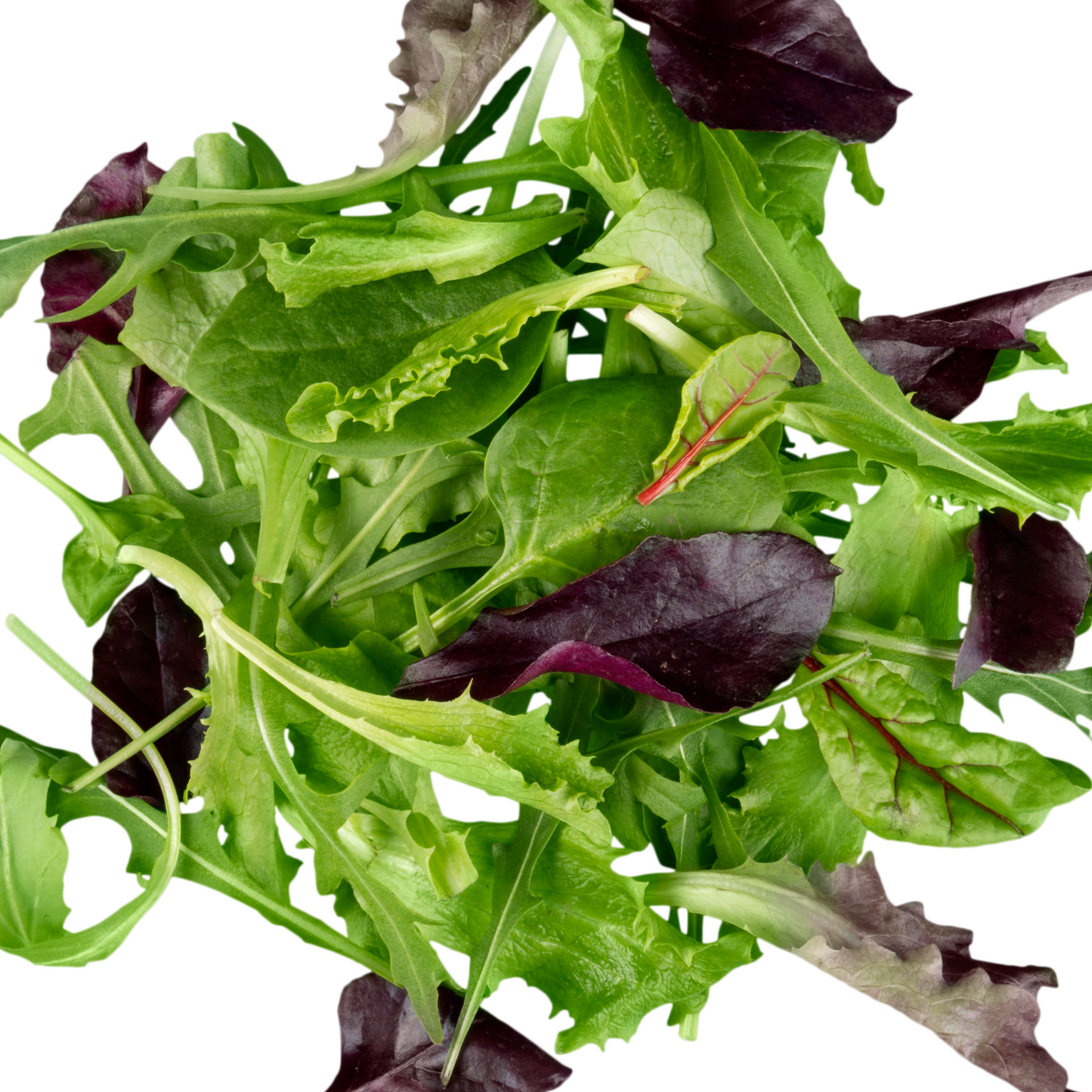 Leafy Salad Mix