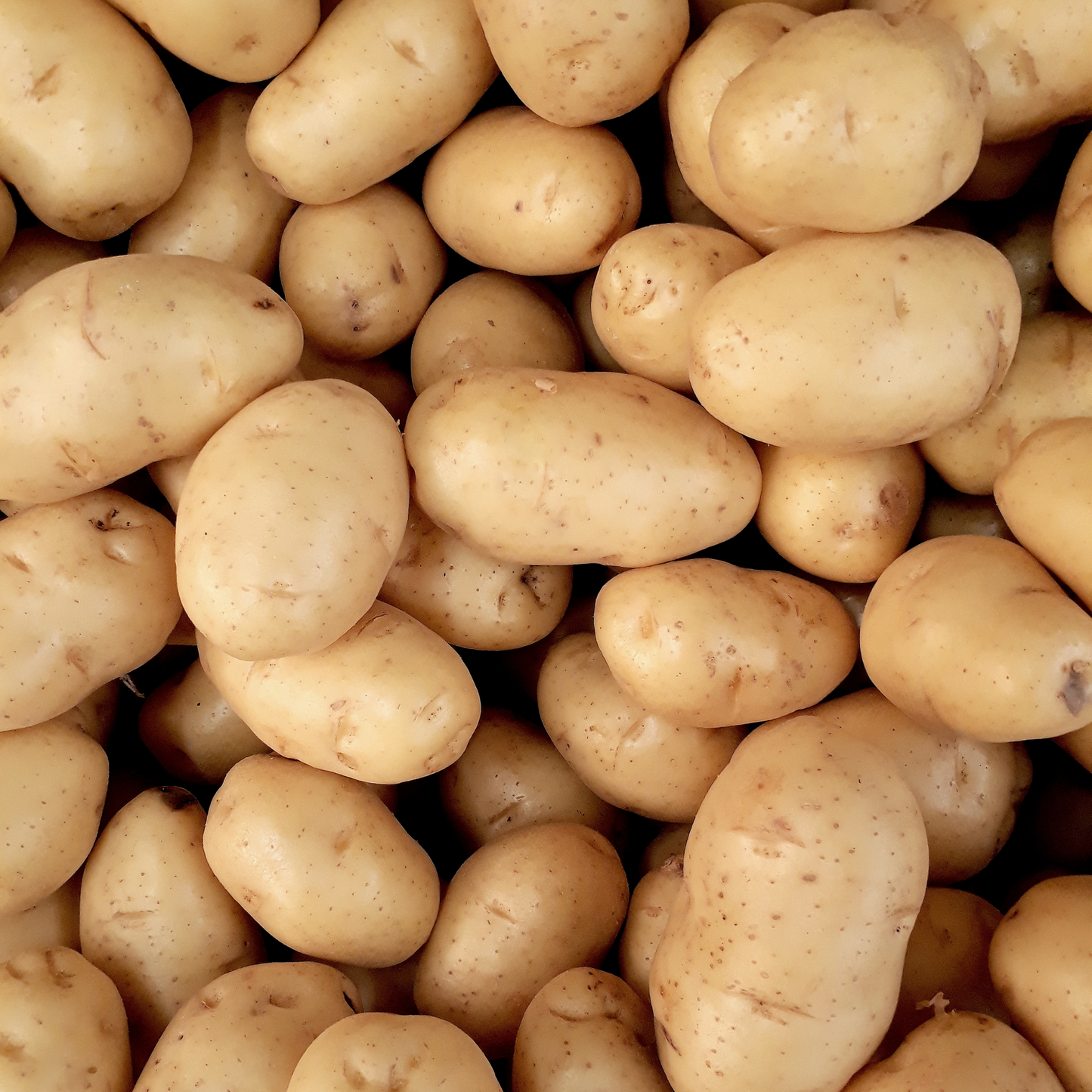 Washed Potatoes