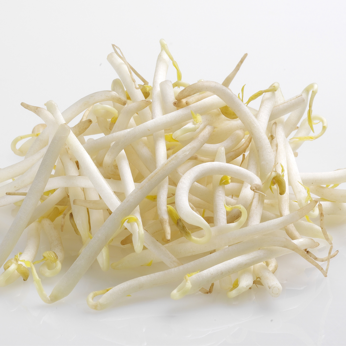 Bean Shoots