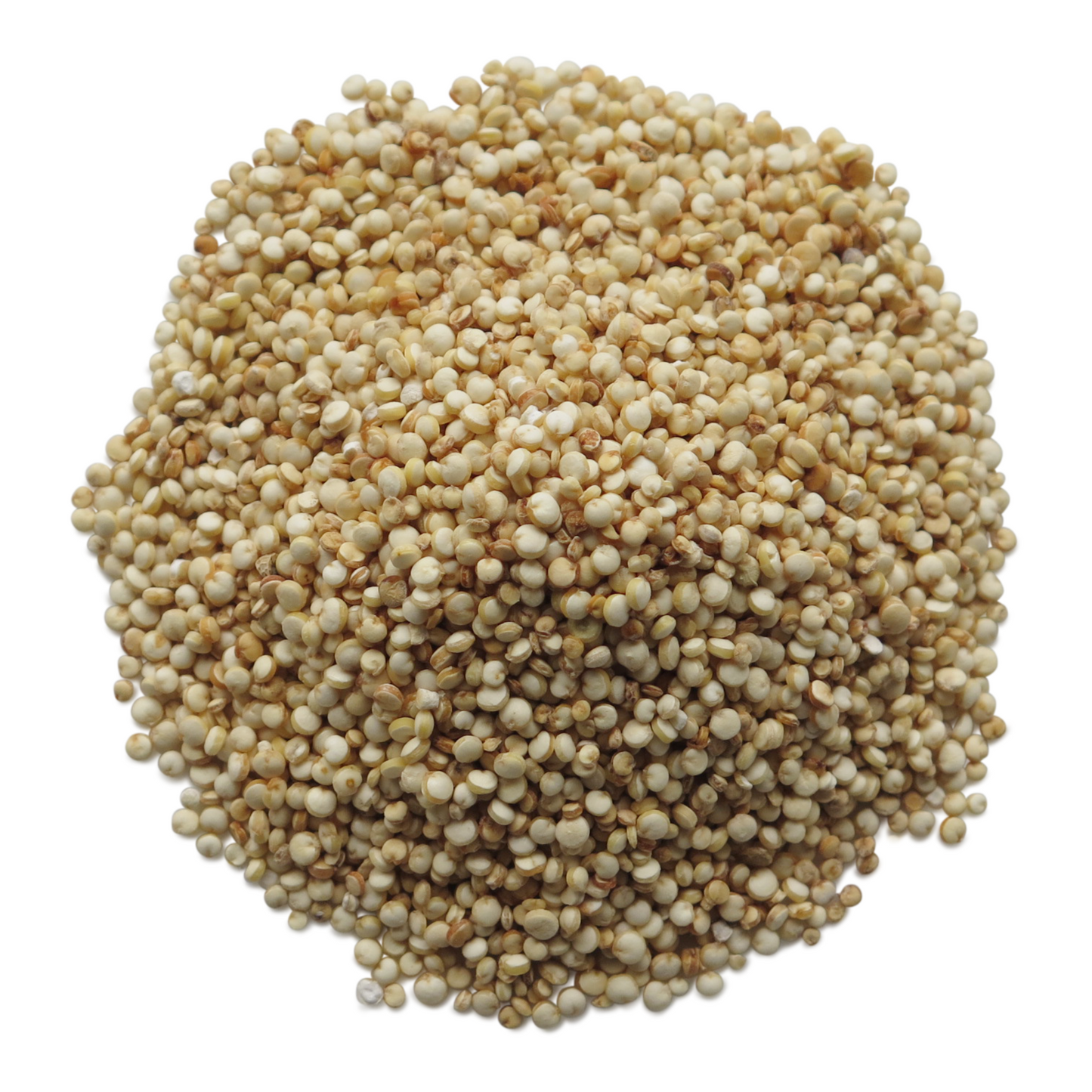 Cous Cous