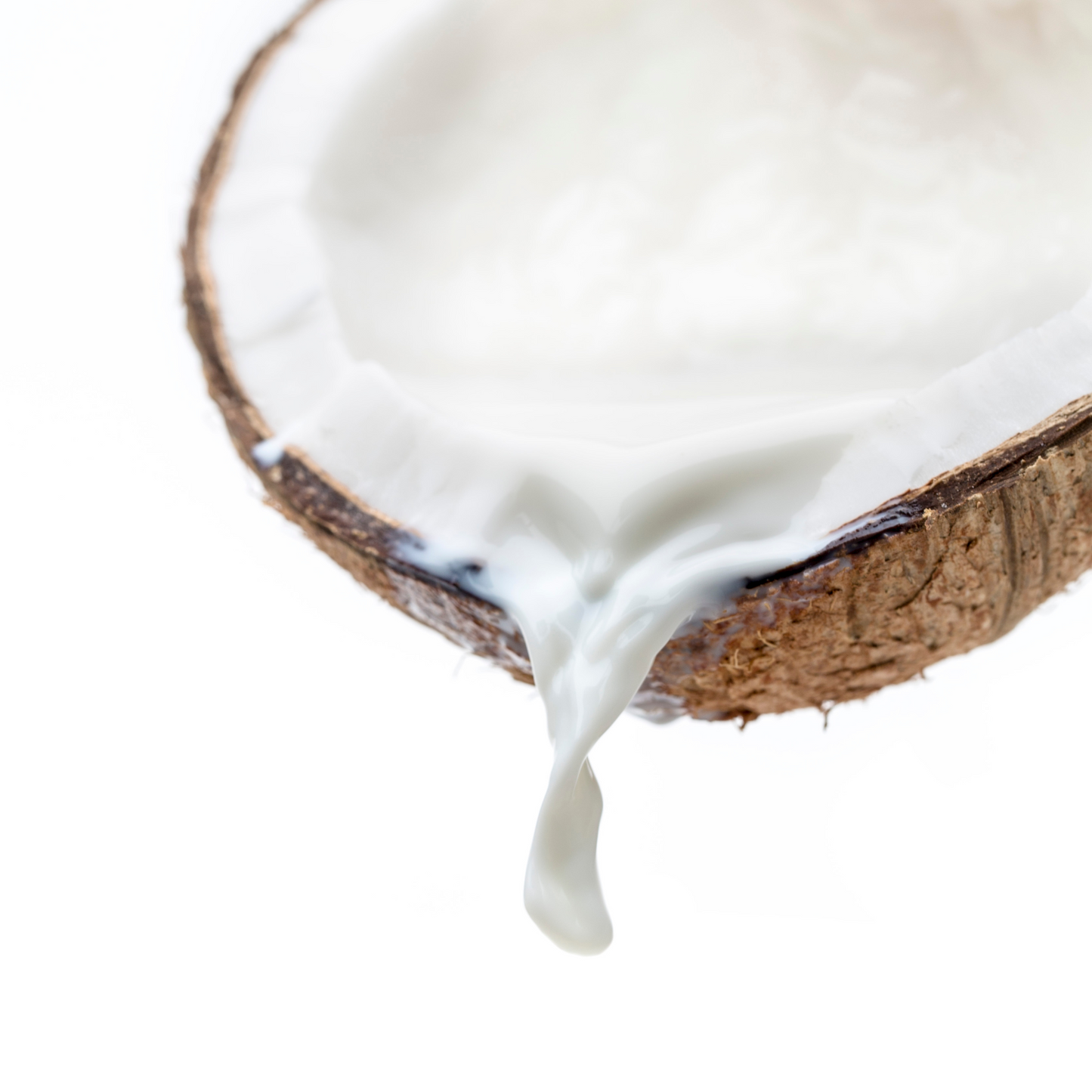 Coconut Cream