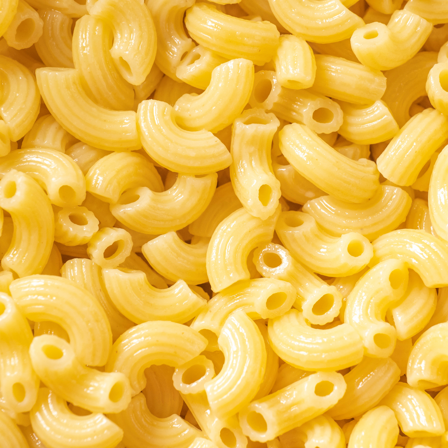 Macaroni Pasta