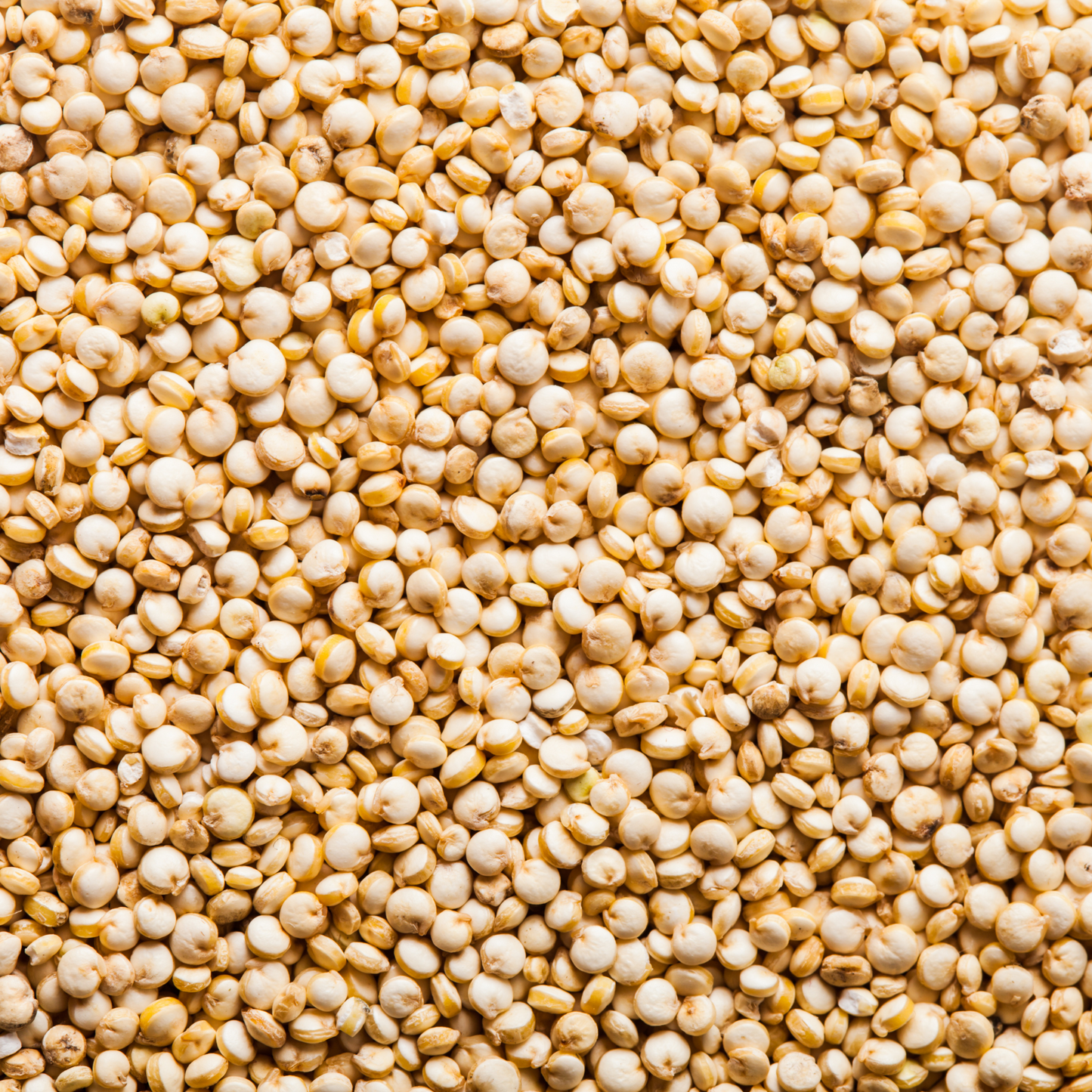 Quinoa - White