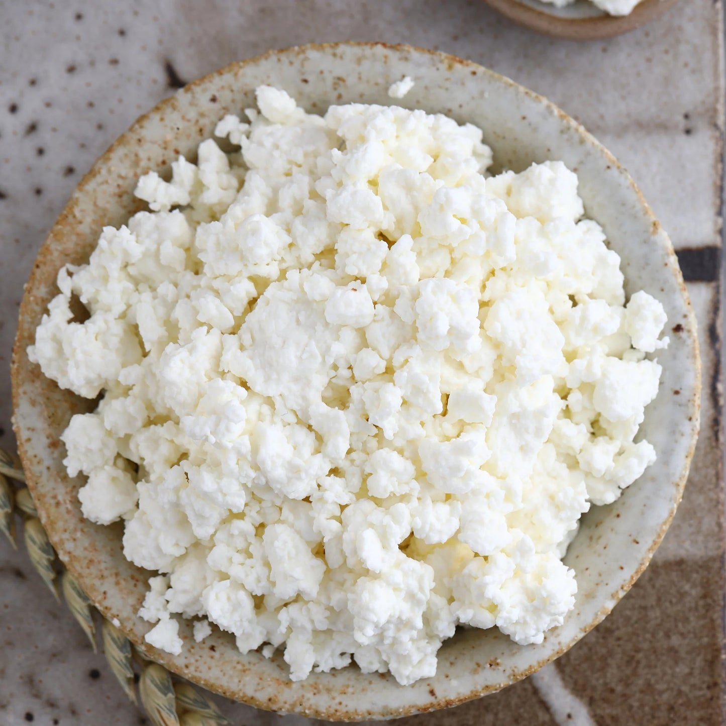 Cottage Cheese | 500g | PF-096097-WW-082819