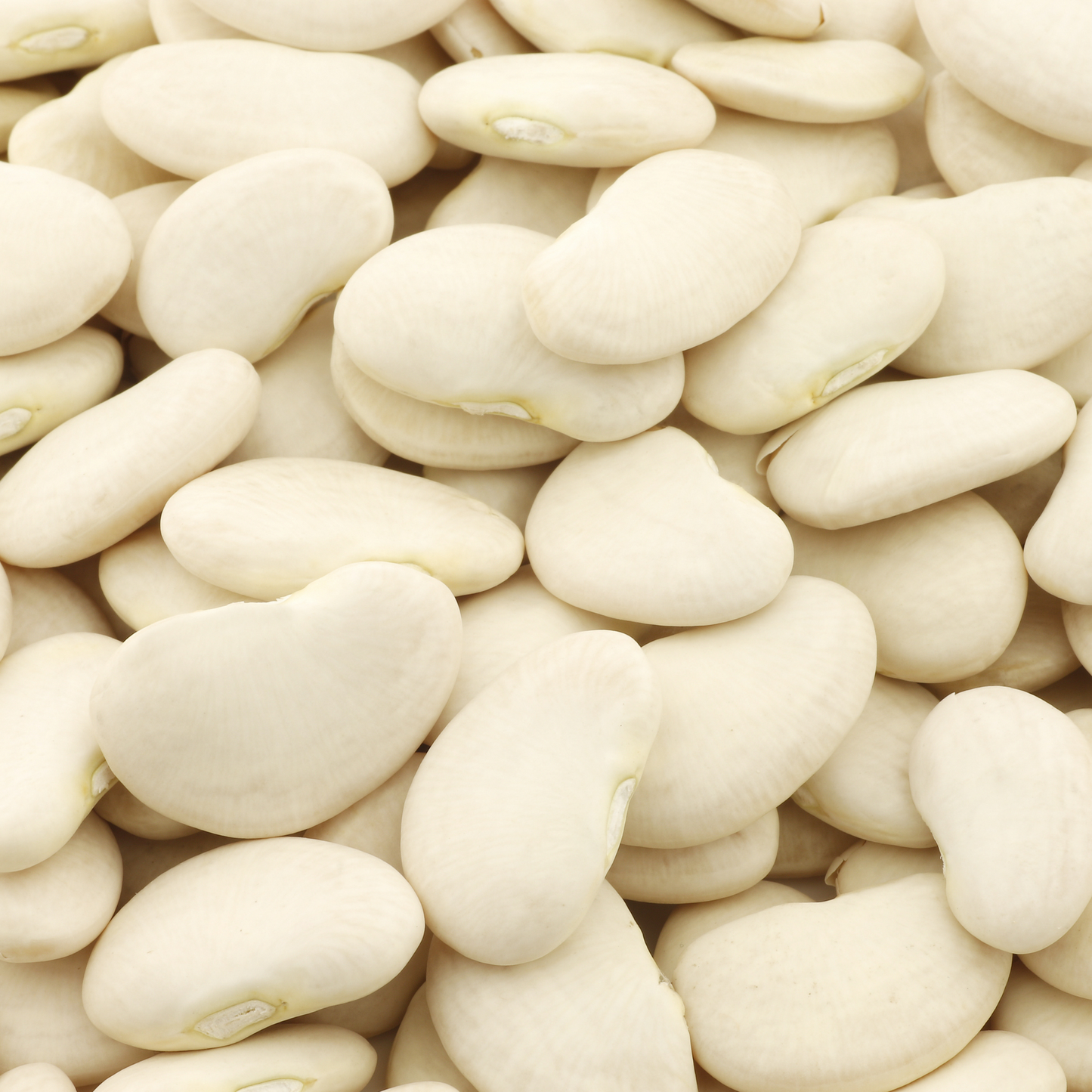 Butter Beans