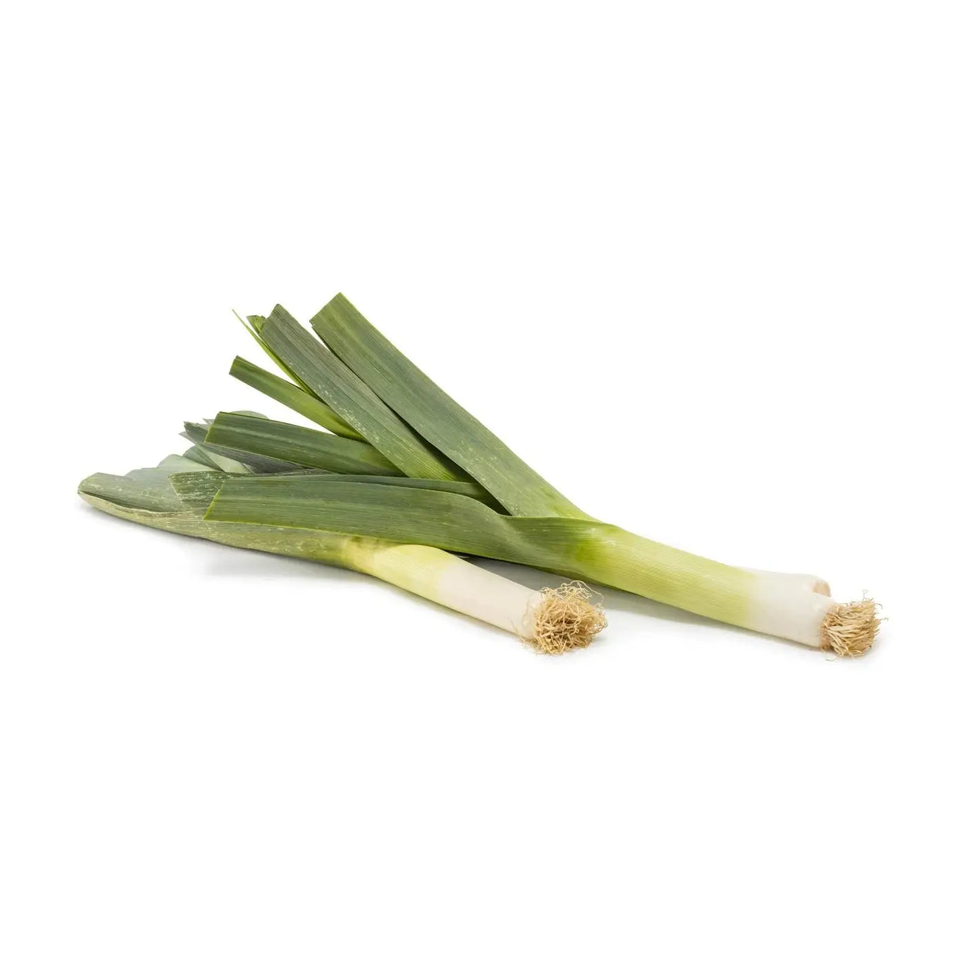 Leek