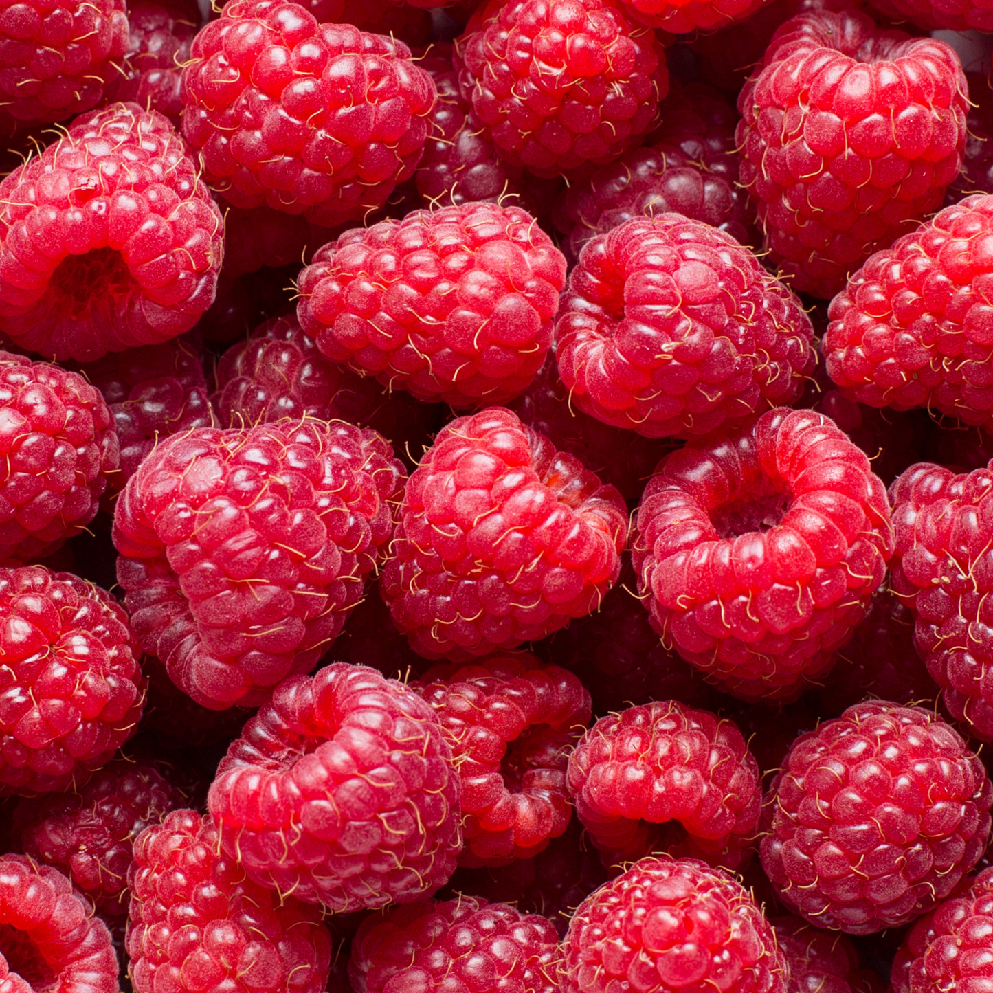 Frozen Raspberries