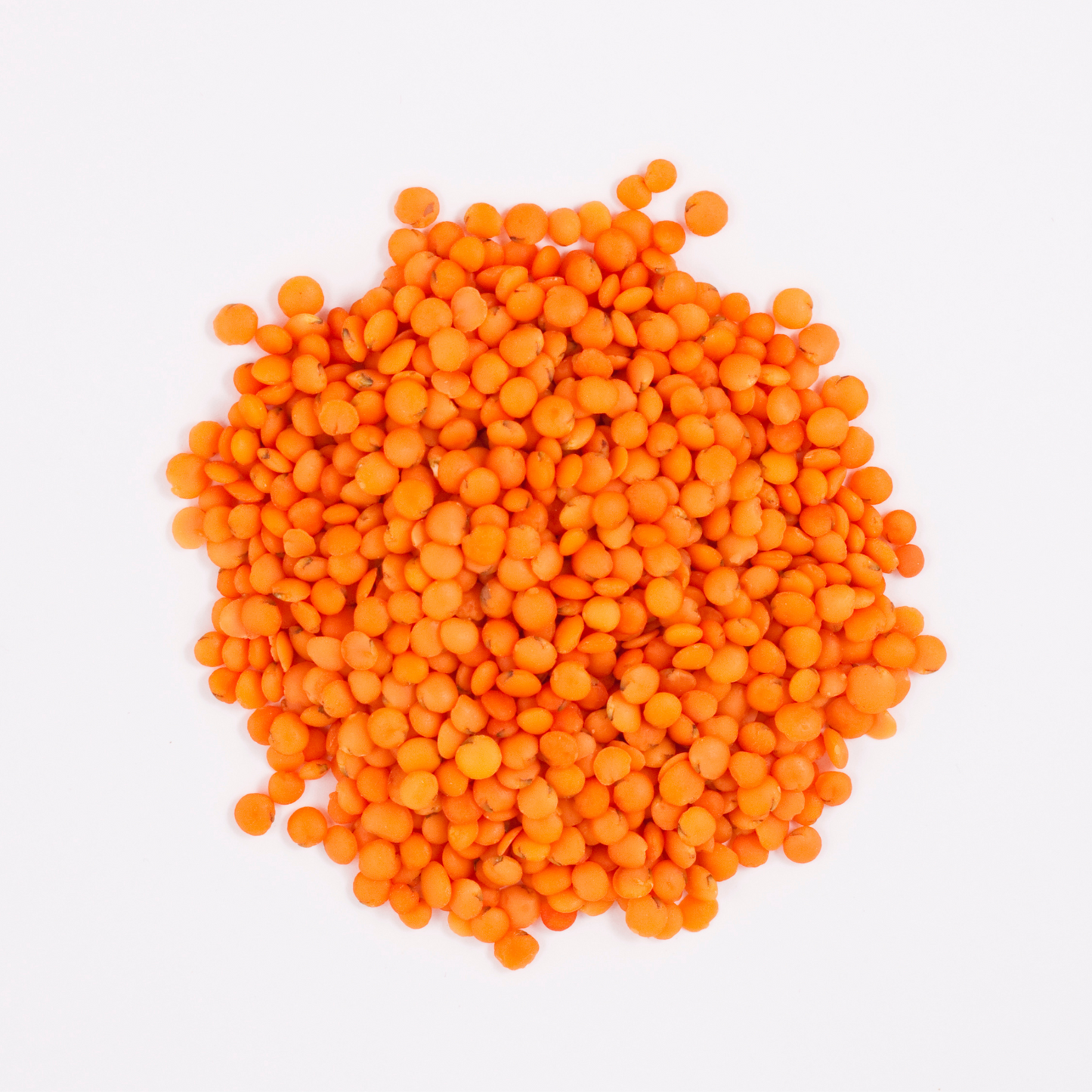 Dried Red Lentils