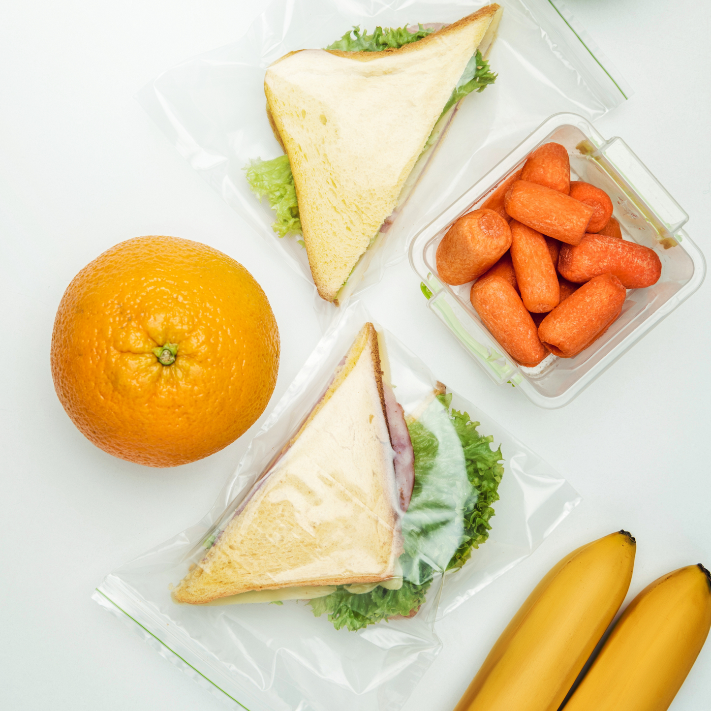 Sandwich Zip Lock Bags