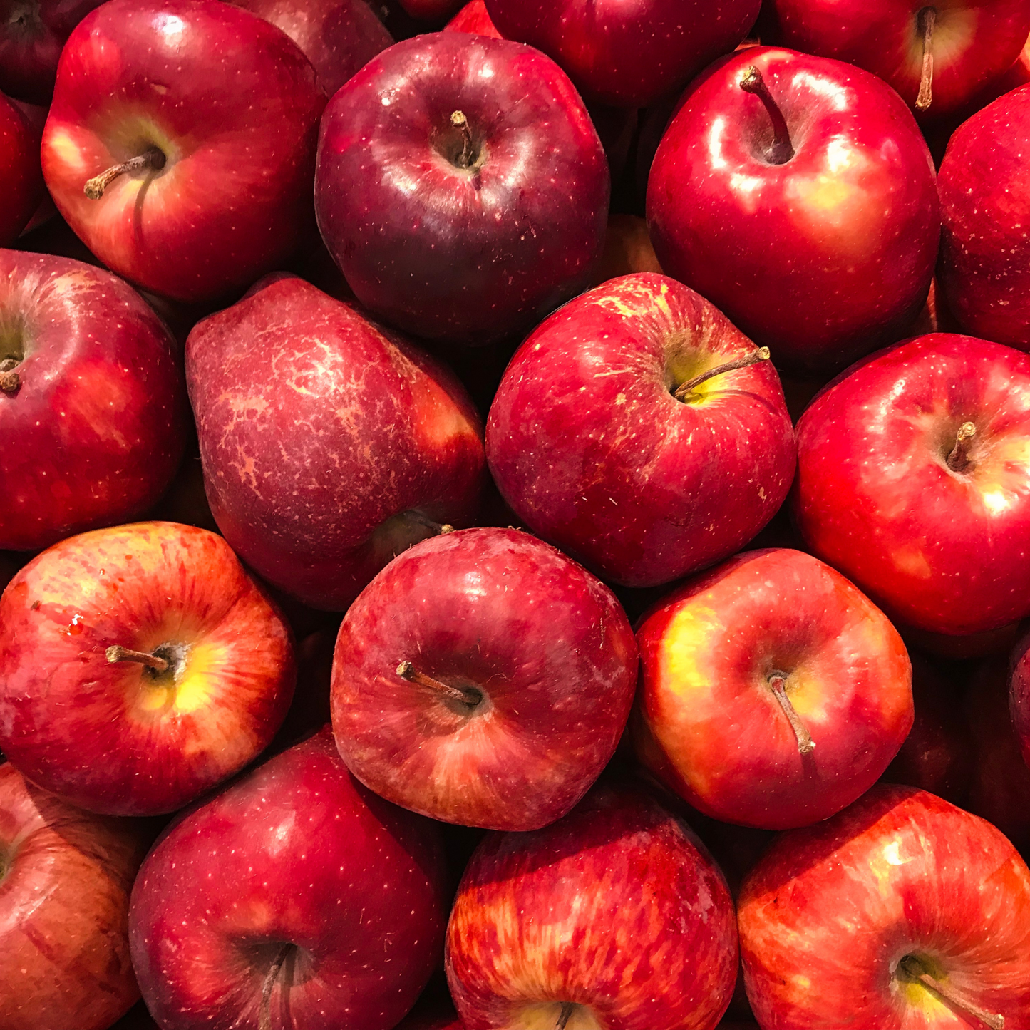Red Apples