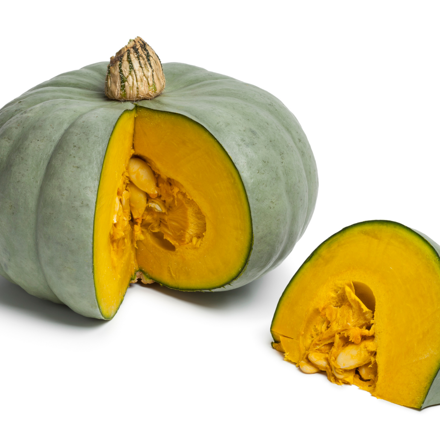 Pumpkin Kent
