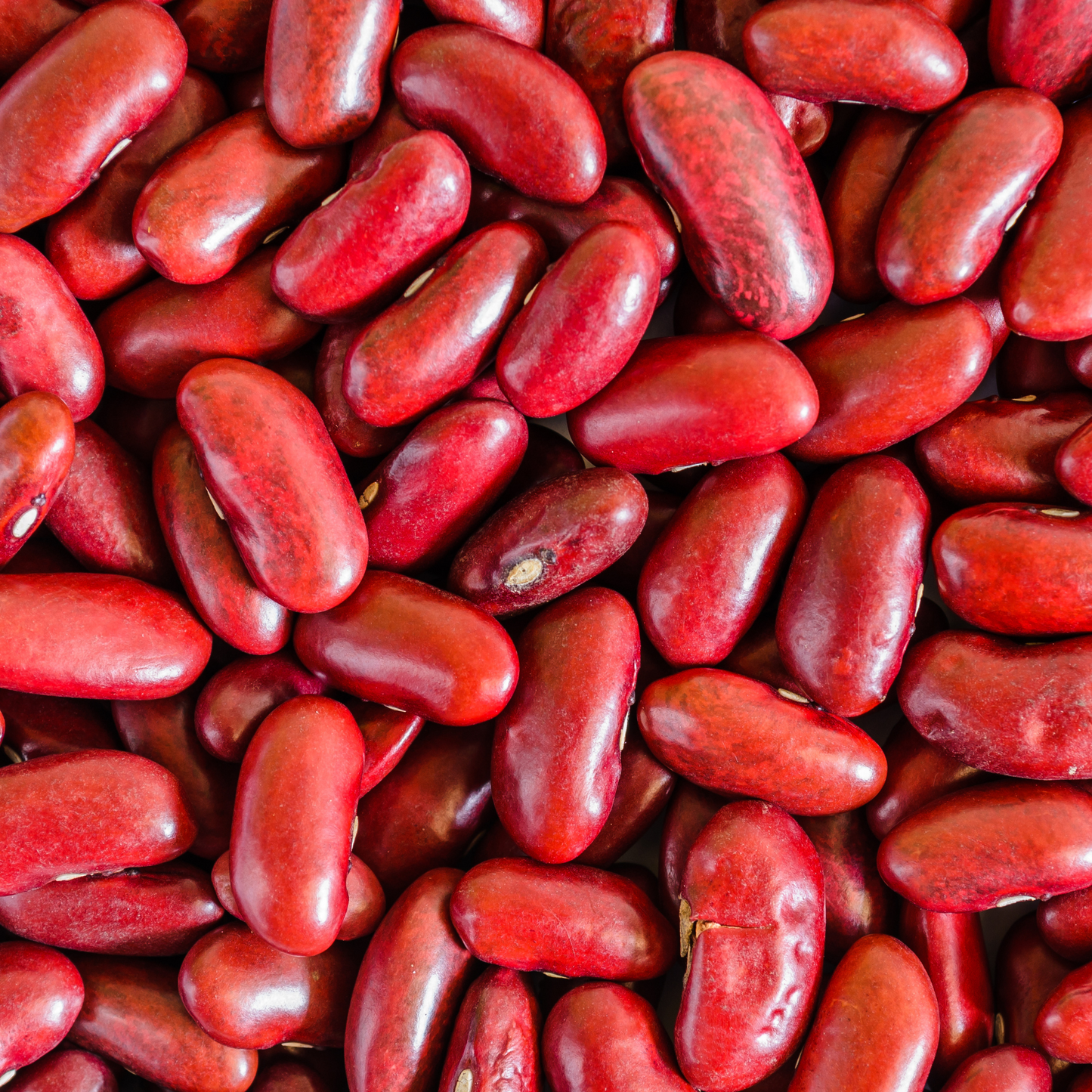 Red Kidney Beans