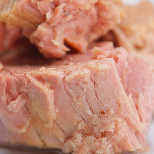 Tuna In Oil