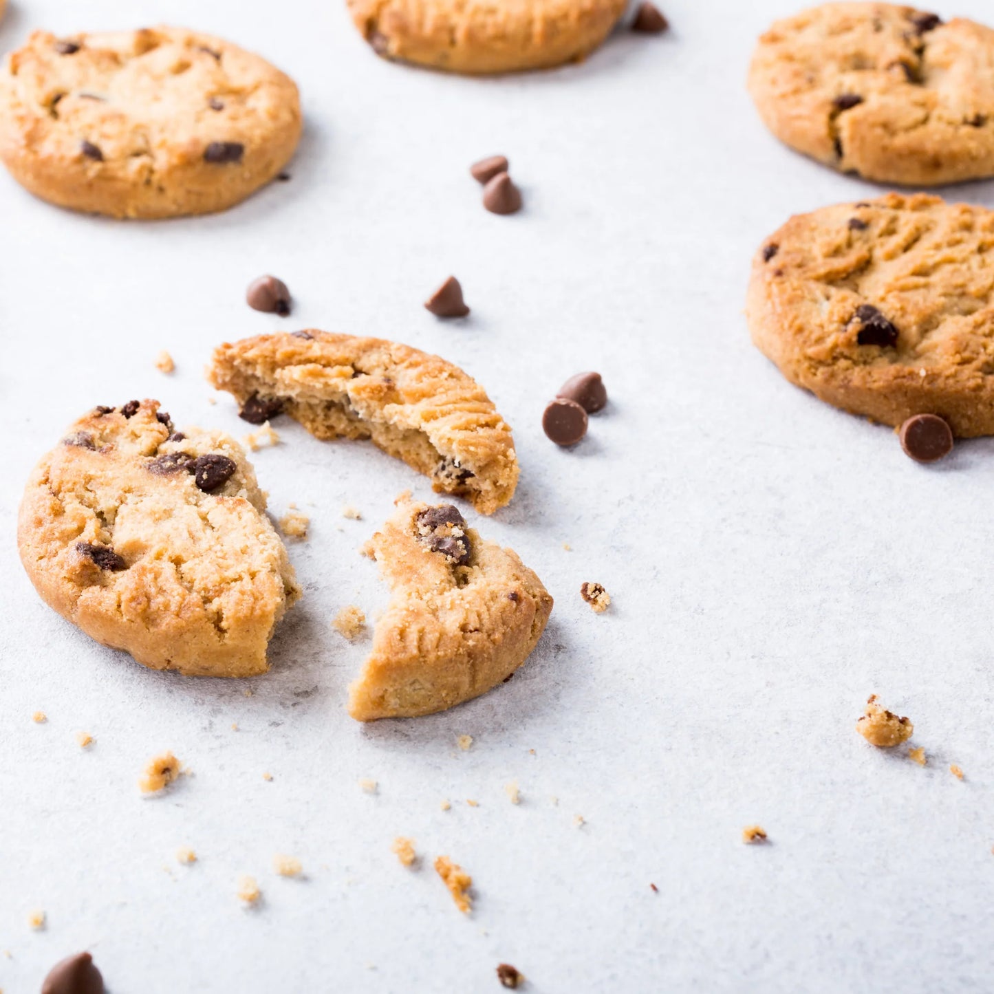 Biscuits Family Assorted | 500g | PF-096220-WW-160001