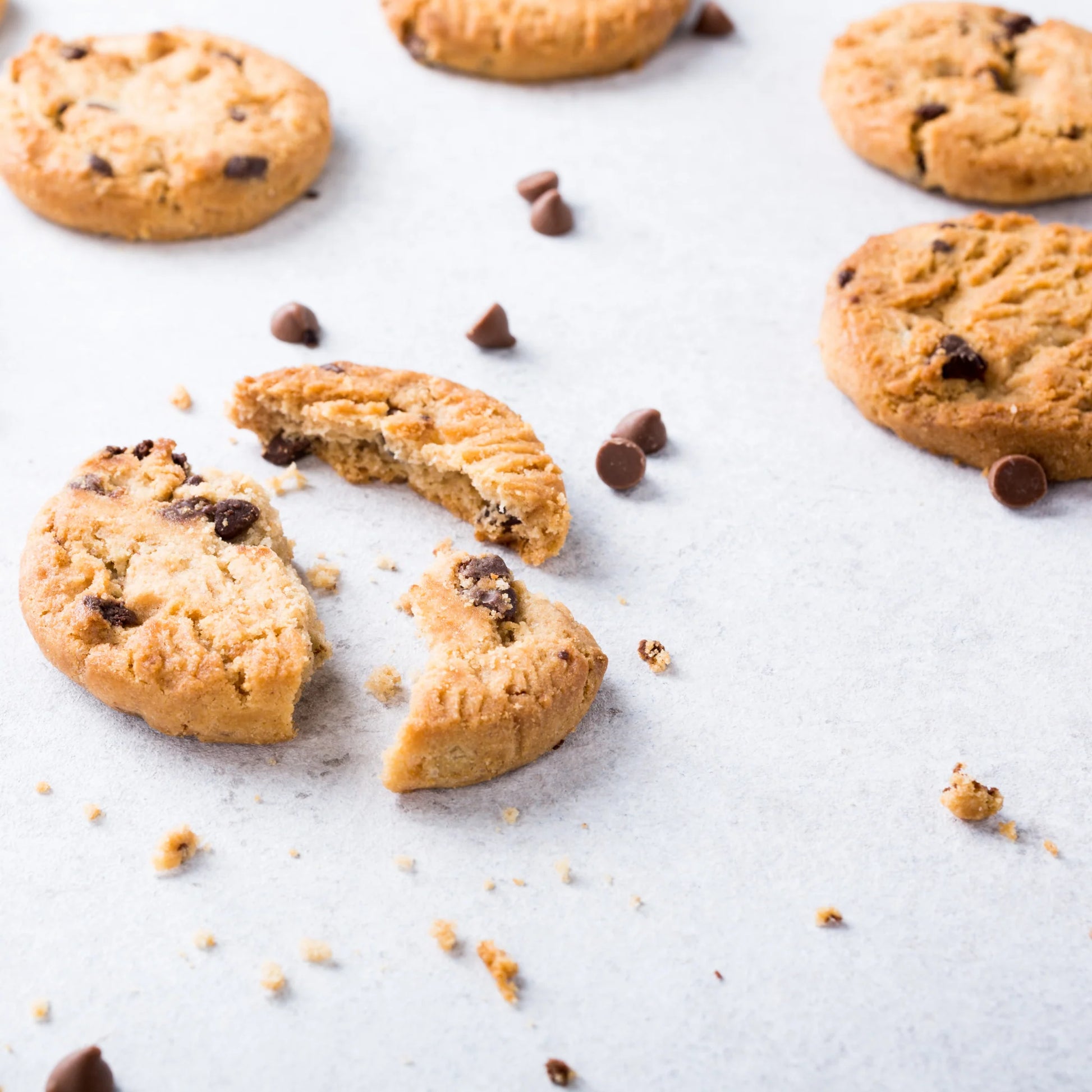 Biscuits Family Assorted | 500g | PF-096220-WW-160001