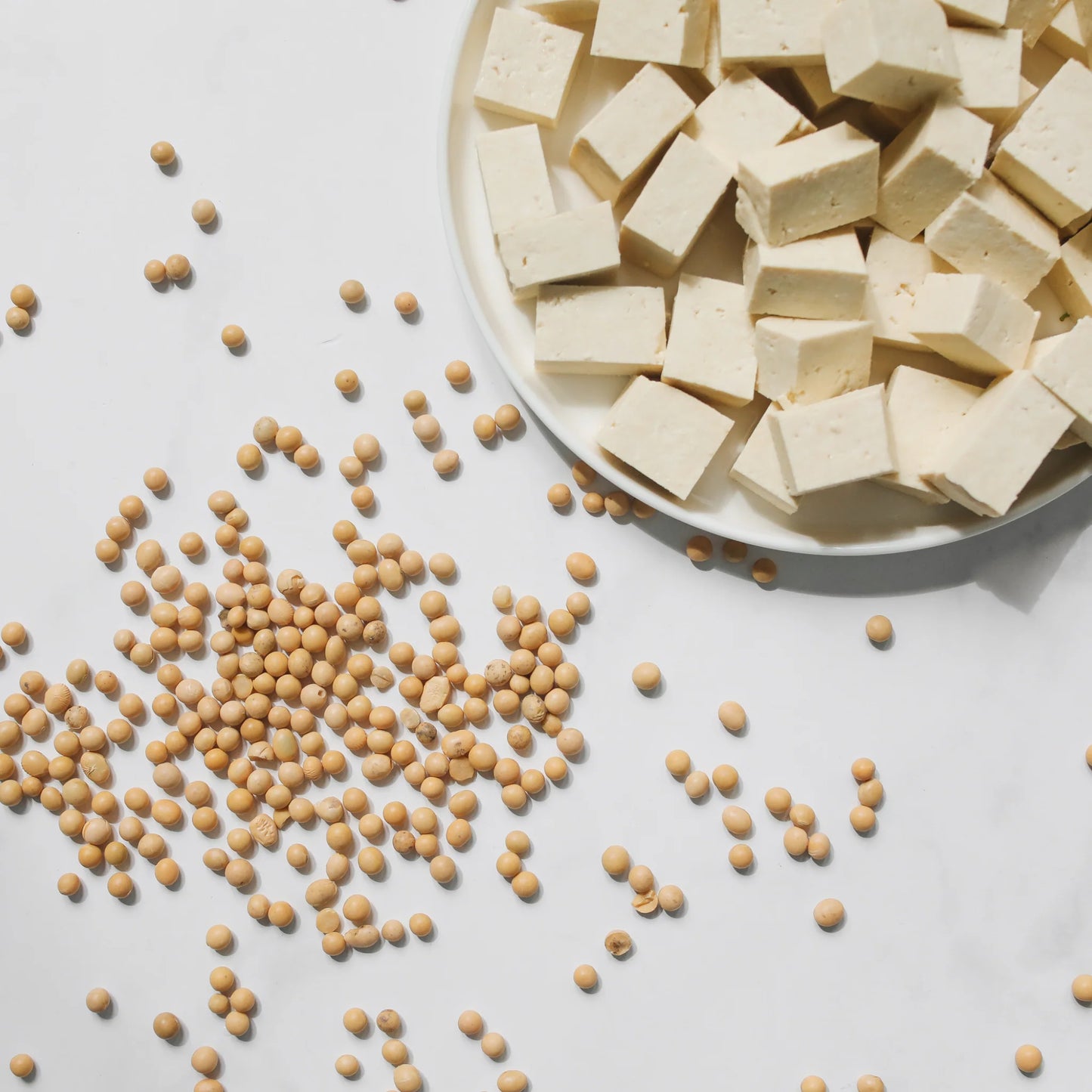 Firm Tofu | 450g | PF-096307-WW-064031