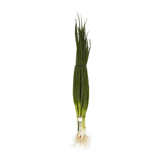 Spring Onion | Bunch | PF-096342-FG-023226