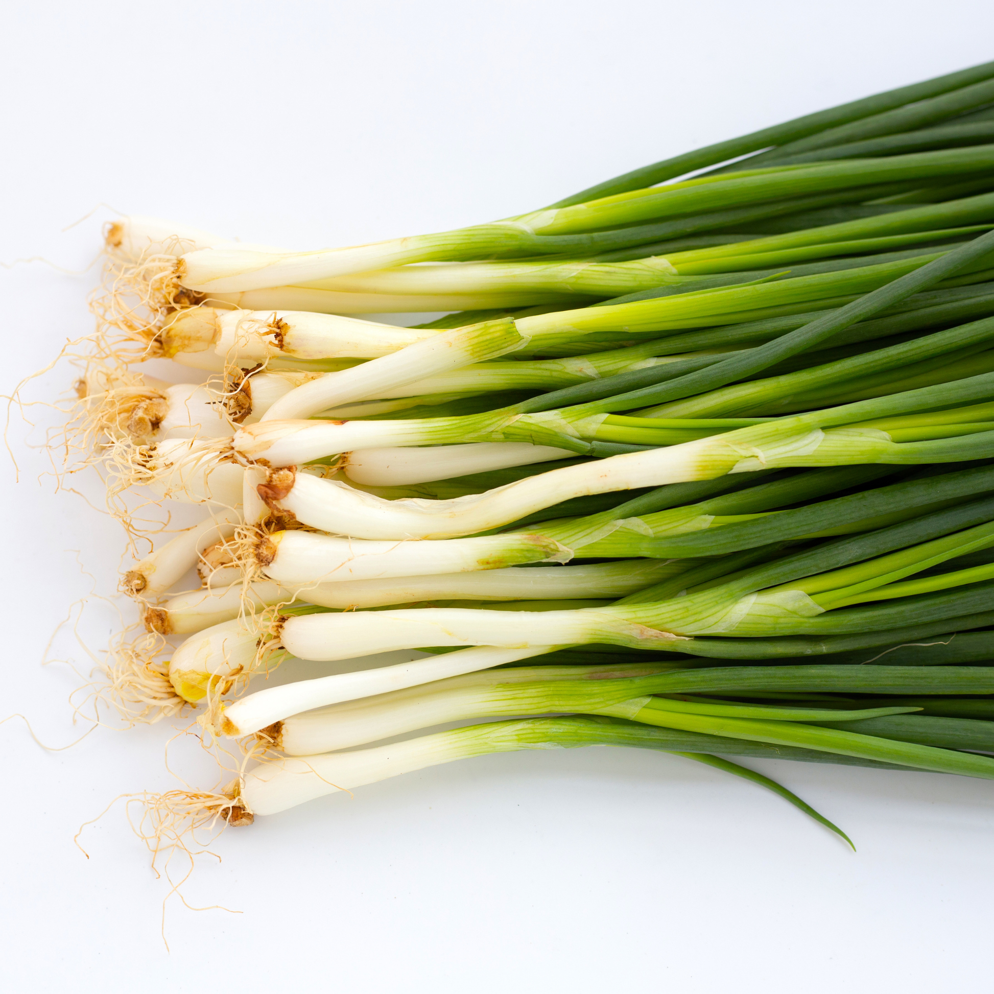 Spring Onion | Bunch | PF-096342-FG-023226