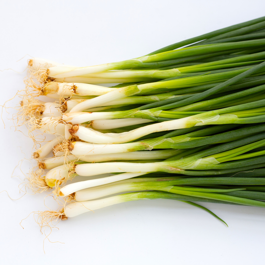 Spring Onion | Bunch | PF-096342-FG-023226