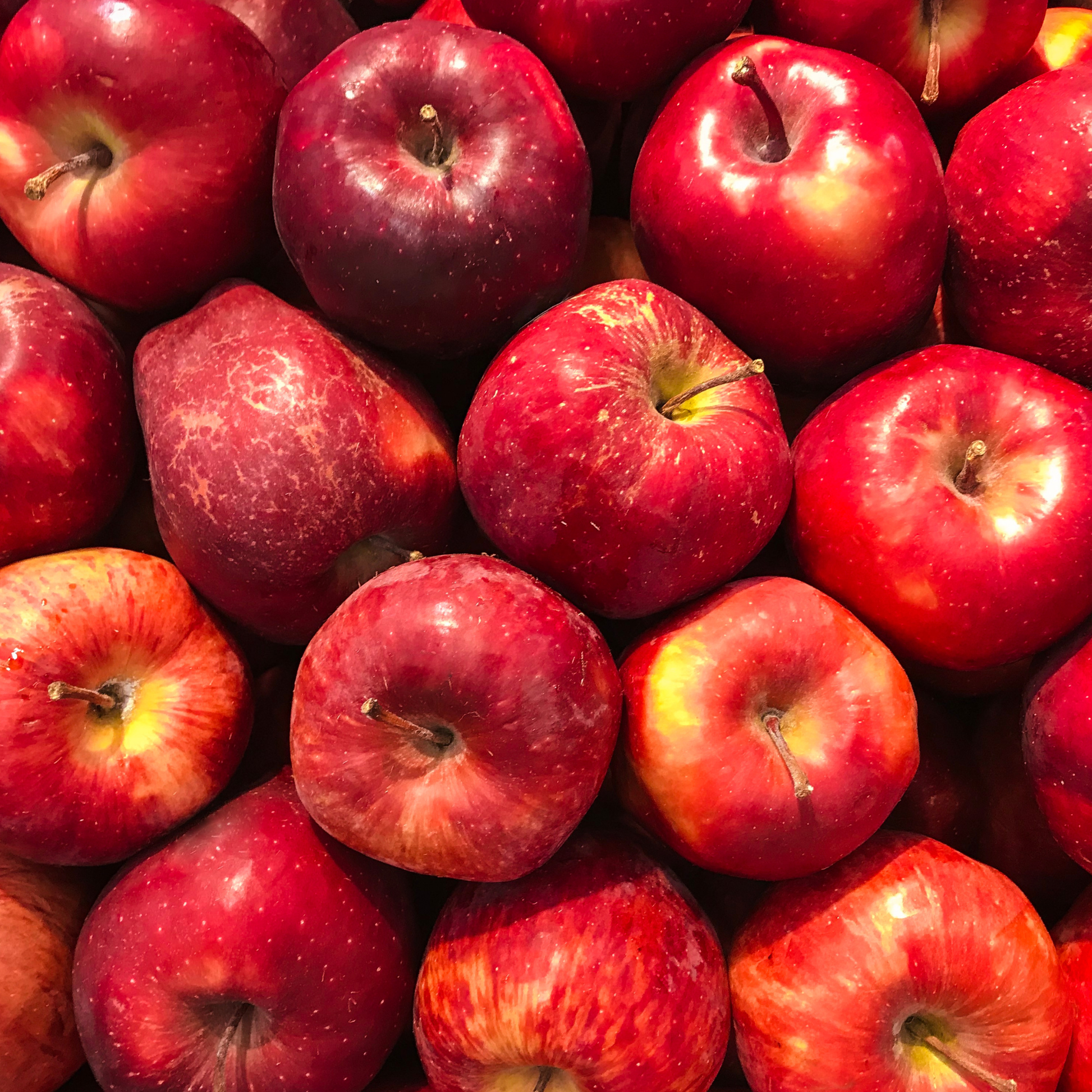 Red Apples | 1kg | PF-096350-FG-023340