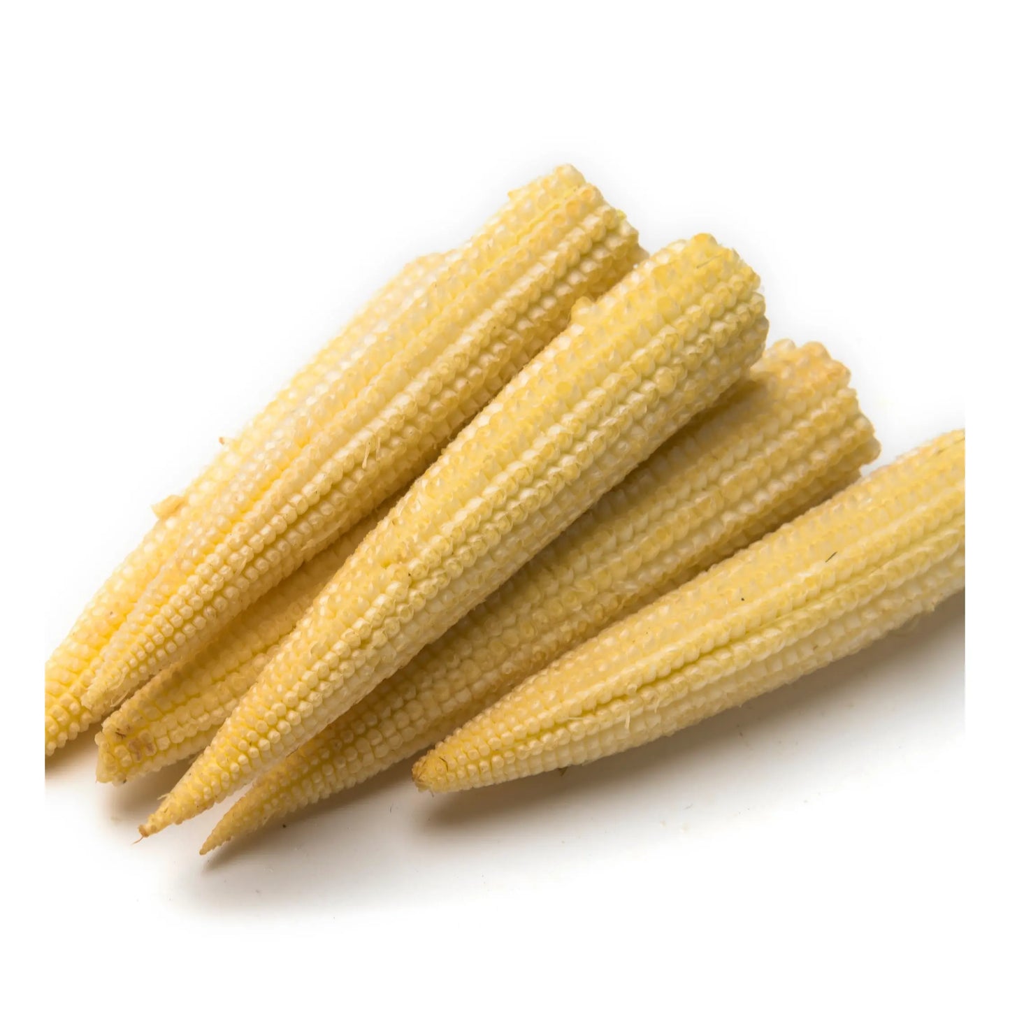 Baby Sweet Corn | Pkt (100g) | PF-096369-FG-022695