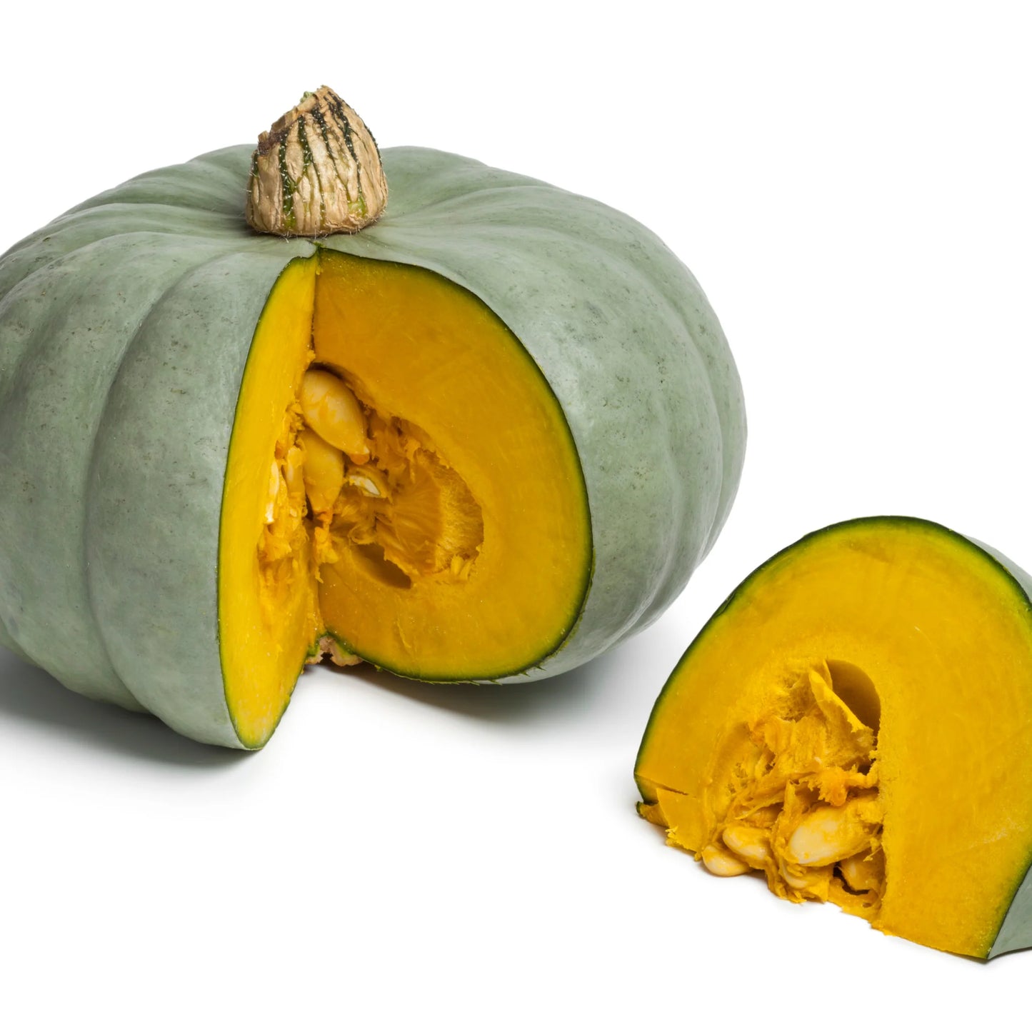 Pumpkin Kent | Each | PF-096372-WW-098551
