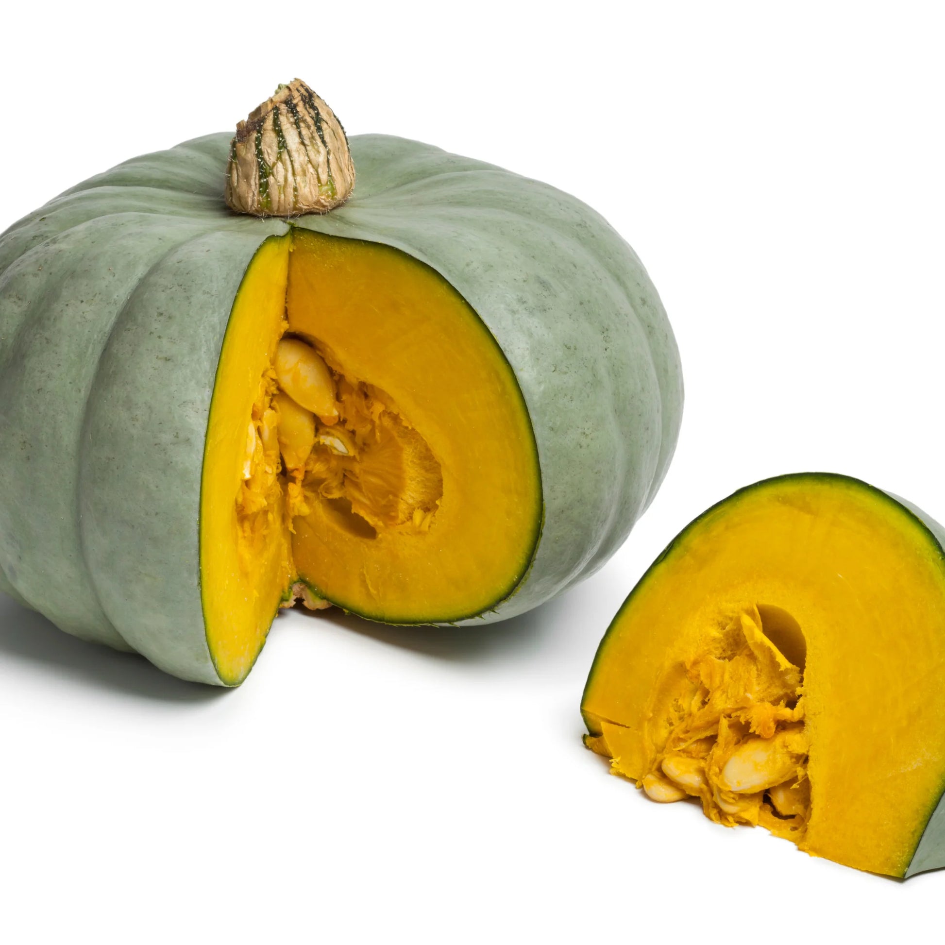 Pumpkin Kent | Each | PF-096372-WW-098551