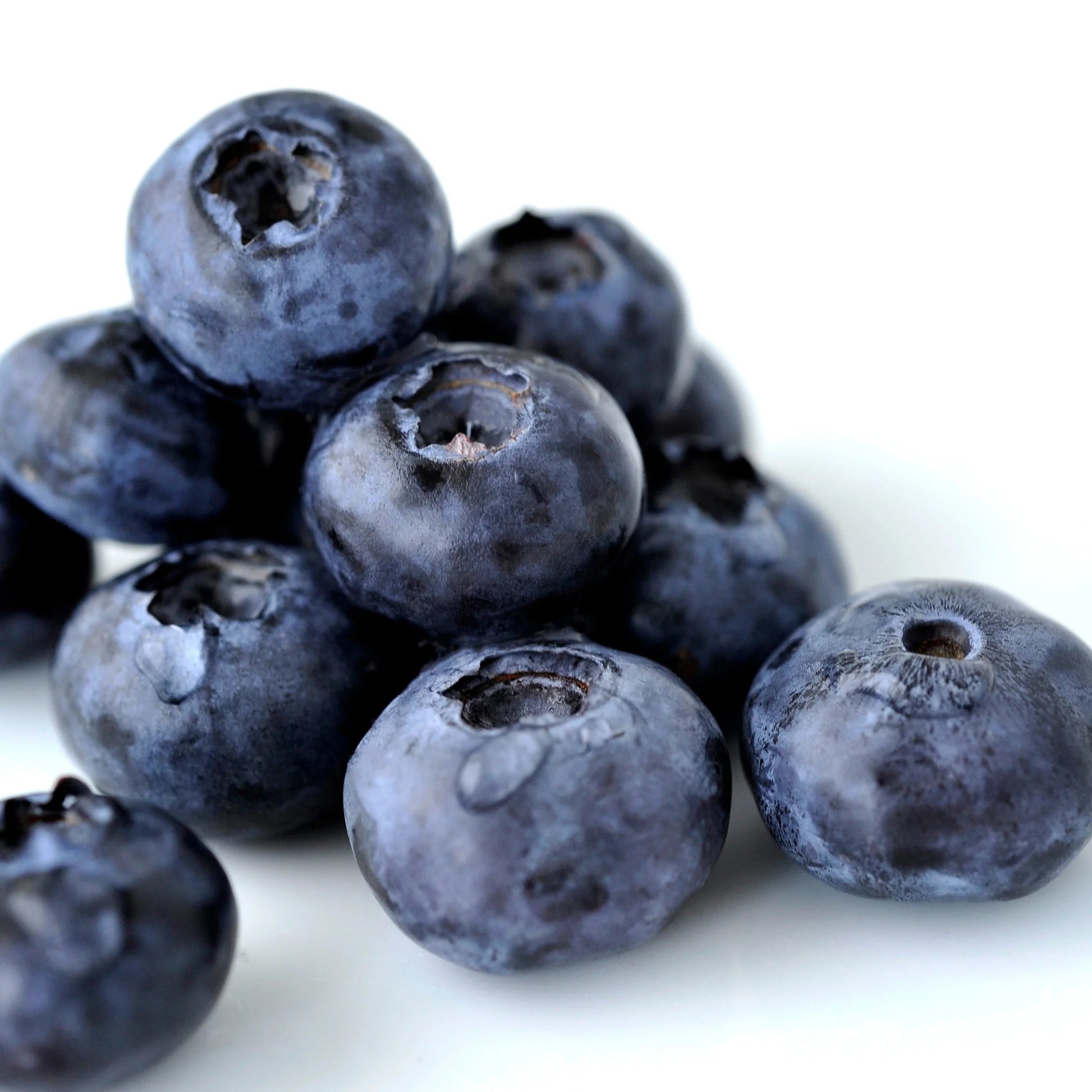 Fresh Blueberries | 170g | PF-096381-CG-141092