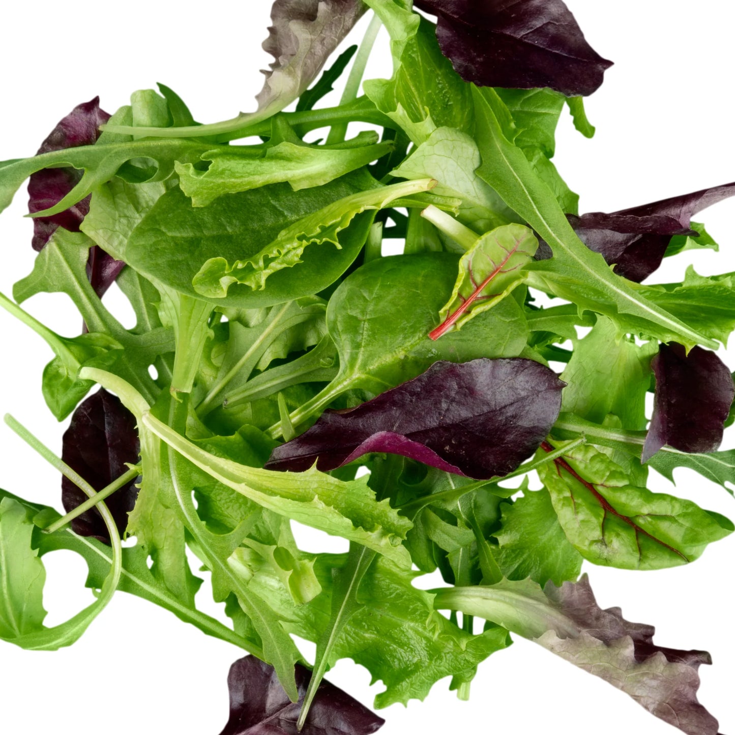 Leafy Salad Mix | 200g | PF-096384-CG-066425