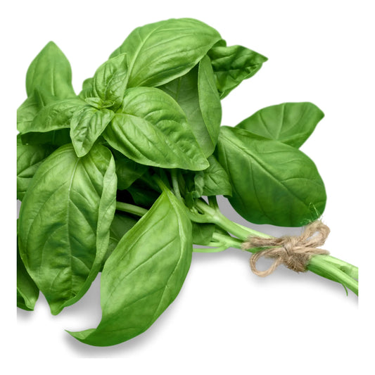 Basil Fresh | 1 Bunch | PF-096389-WW-098596