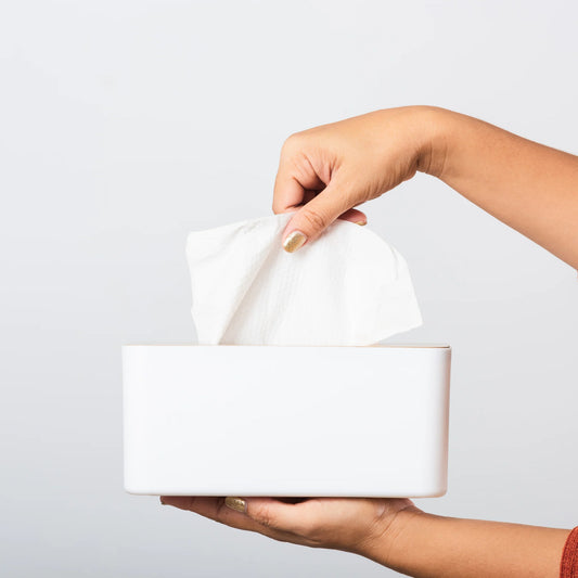 Facial Tissues | 224 Pack | Essentials | PF-096400-WW-098880