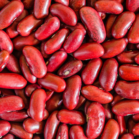 Red Kidney Beans | 420g | PF-096438-WW-063980