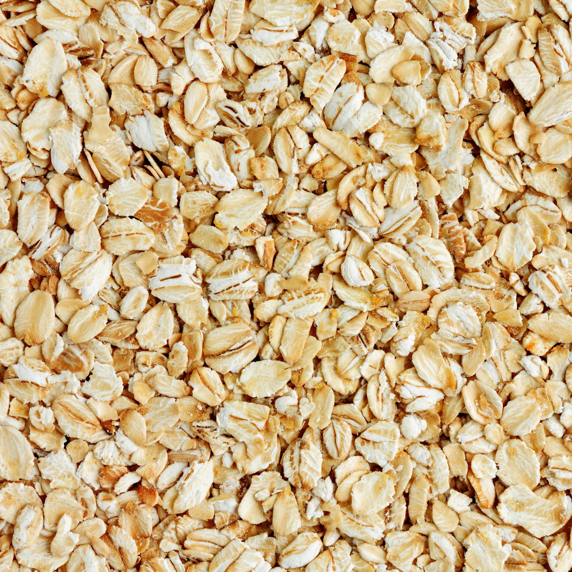 Quick Oats | 1.5kg | PF-096458-WW-058670