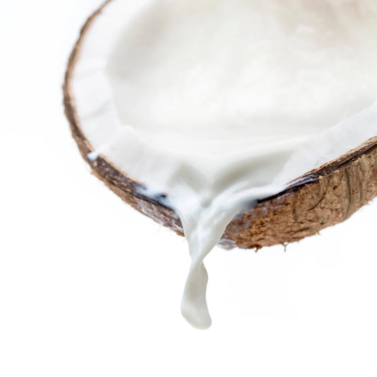 Coconut Milk | 400ml | PF-096476-CG-076669