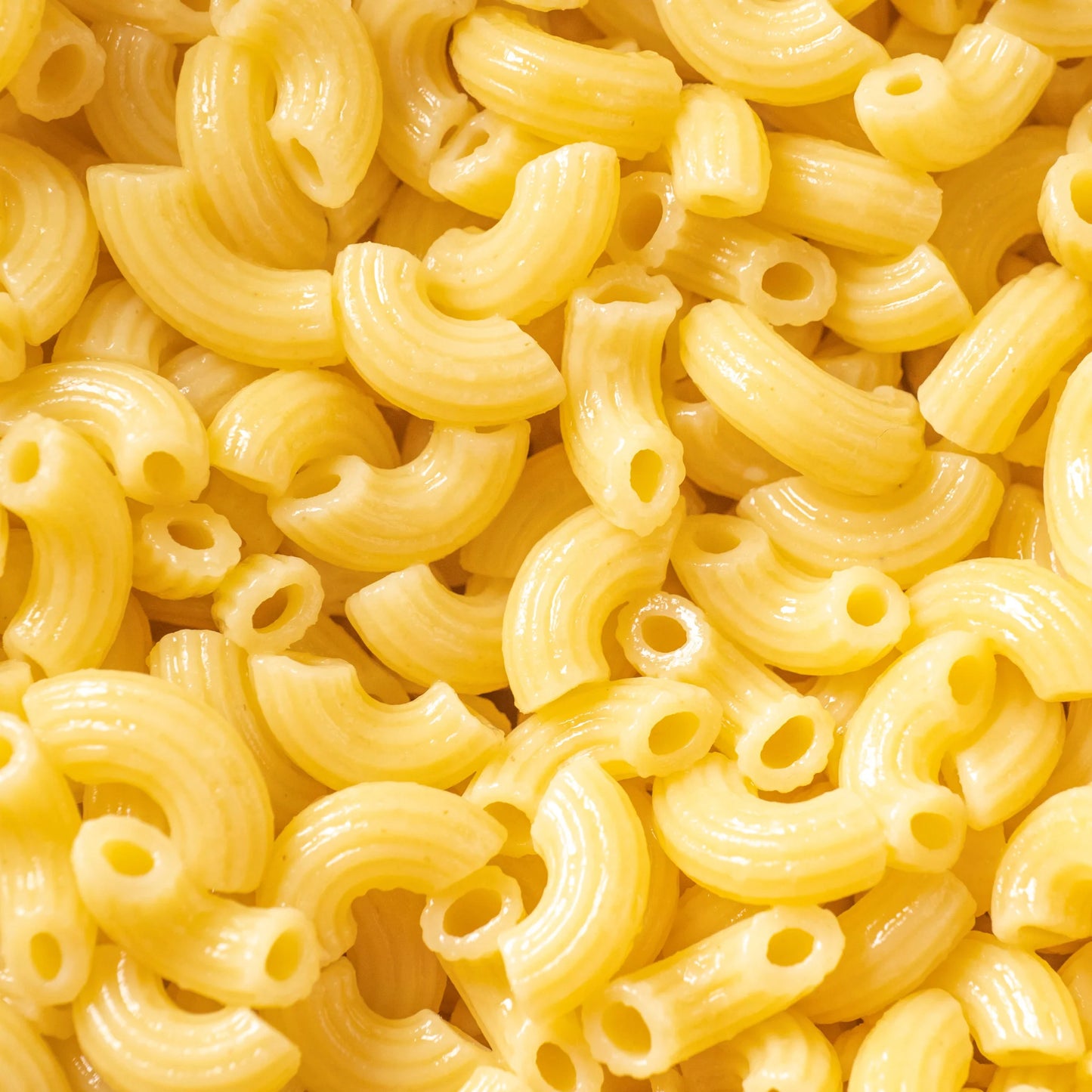 Macaroni Pasta | 500g | PF-096509-CG-076182