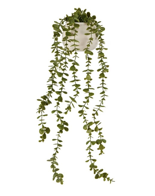 Artificial Trailing Plant In Pot | Each | PF-113229-KM-996725