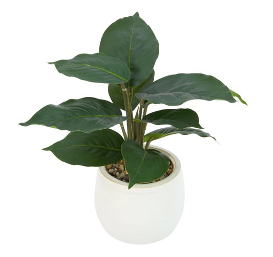Artificial Ctenanthe In Pot | Each | PF-113230-KM-996722