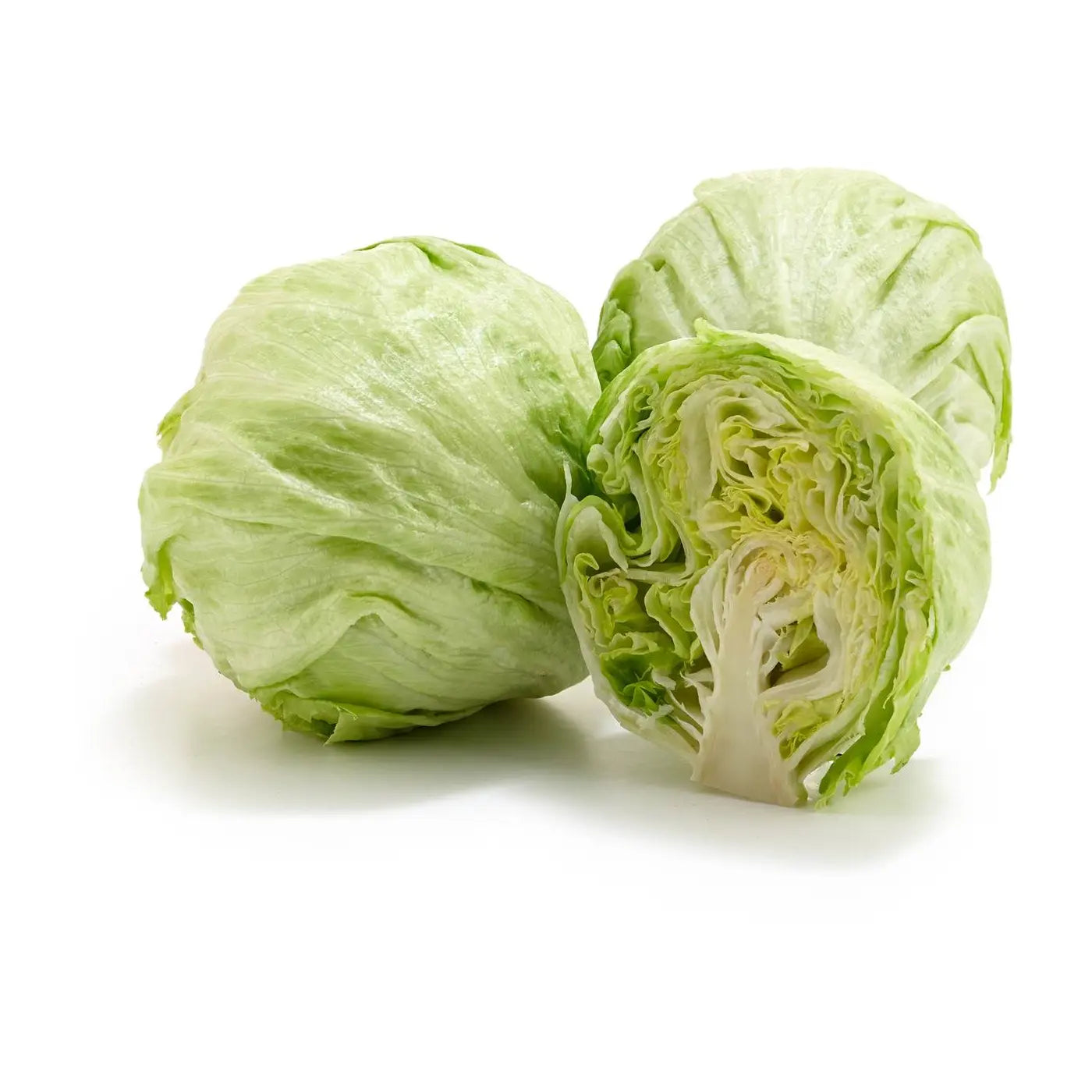 Iceberg Lettuce