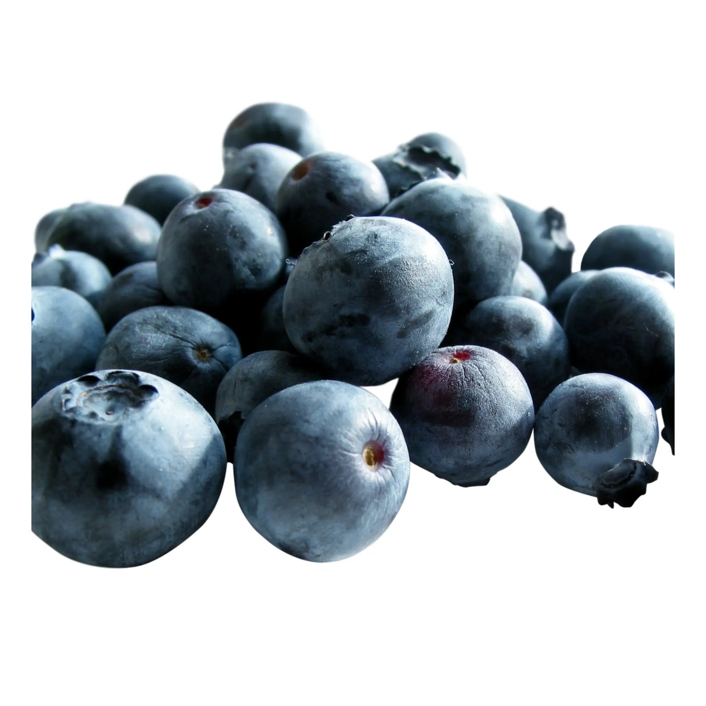 Frozen Blueberries