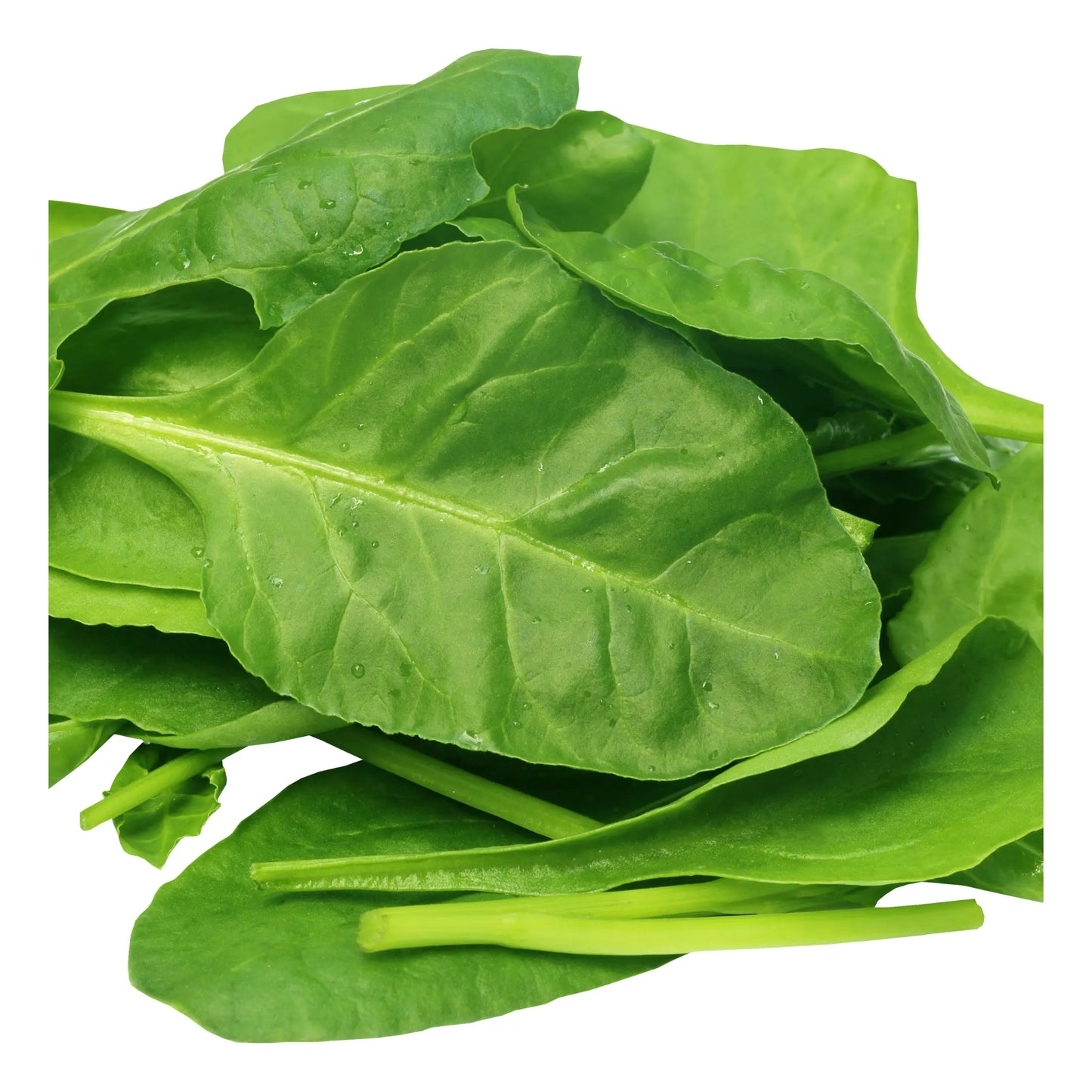 Baby Spinach